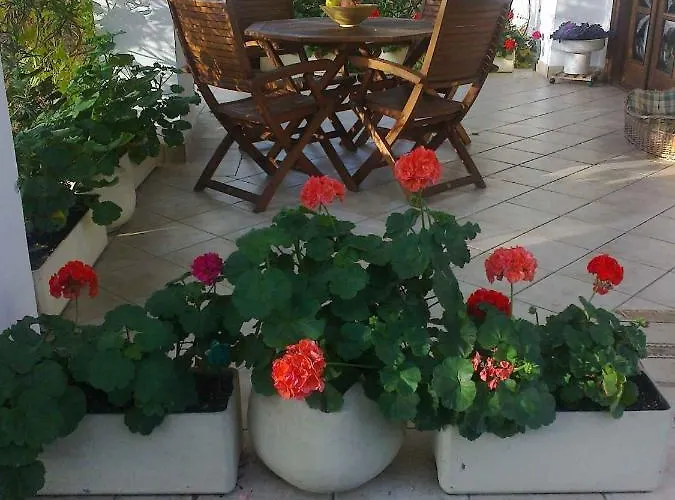 In - Balaton 19988 Lägenhet Siófok